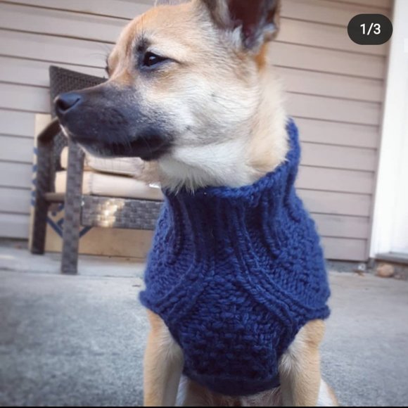L Double Dutch Gansey Dog Sweater - Picture 1 of 4
